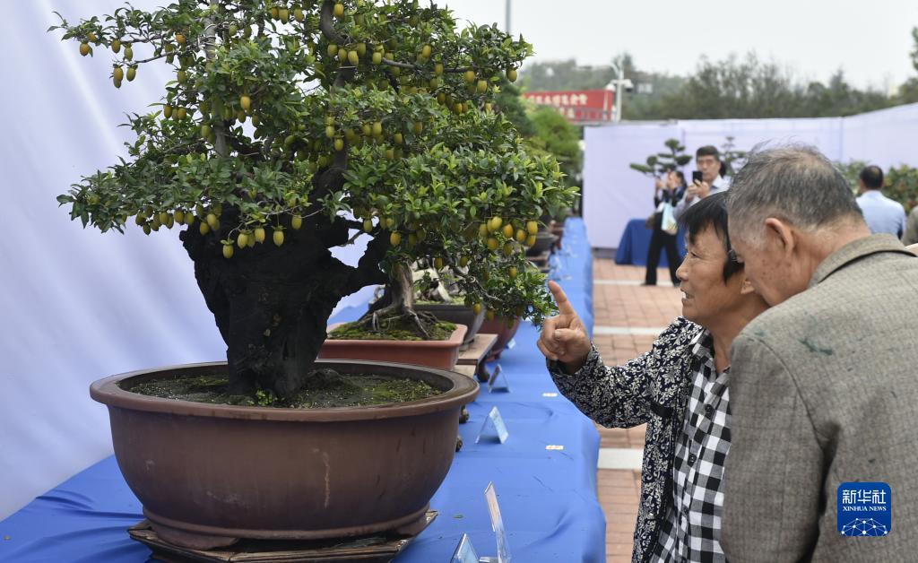 源鼎app下载安卓